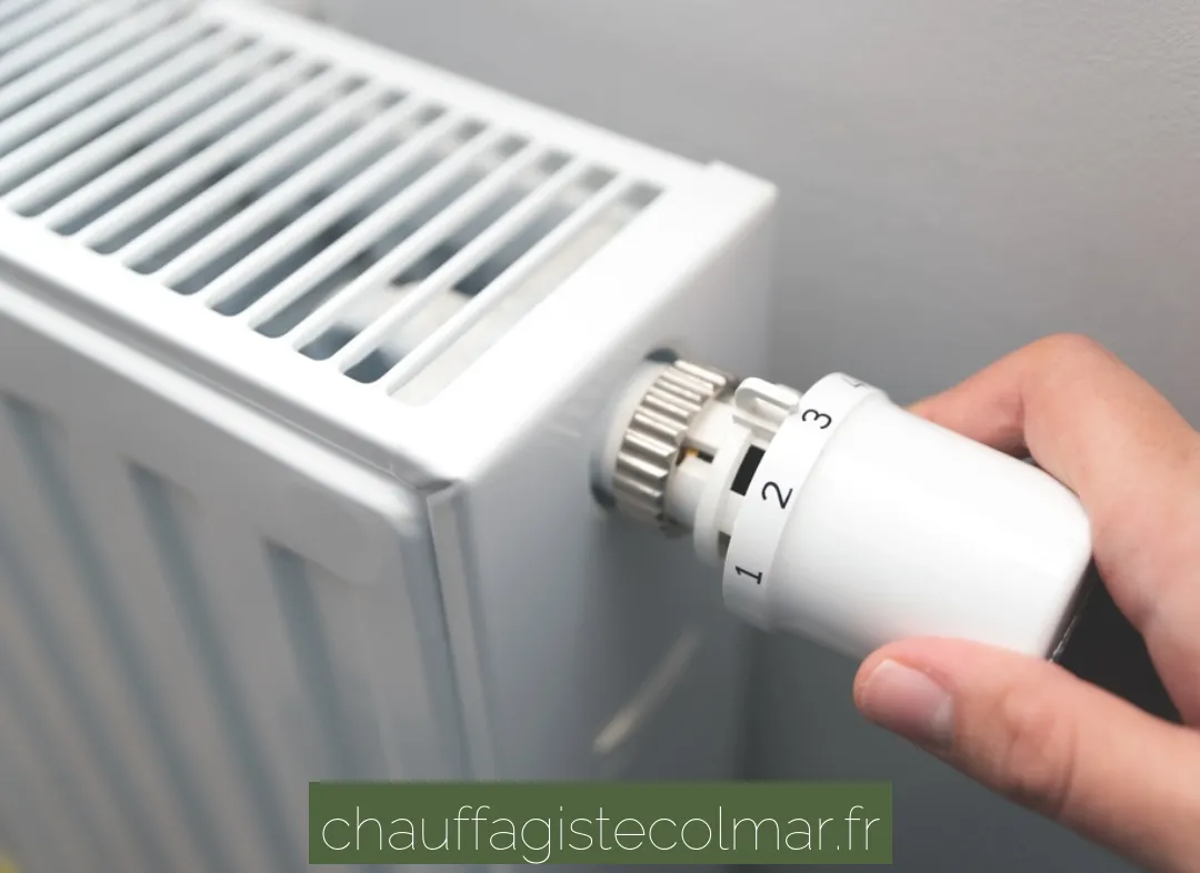 Remplacement de Thermostat Colmar
